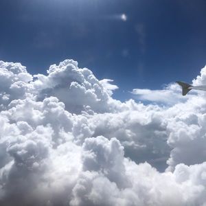 Meet your Posher, Maya